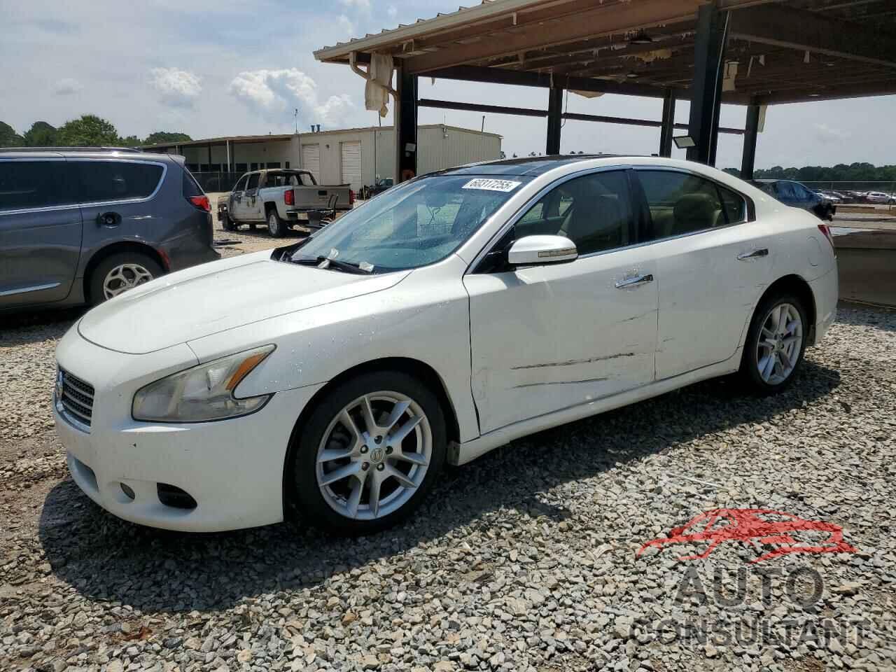 NISSAN MAXIMA 2009 - 1N4AA51E19C820811