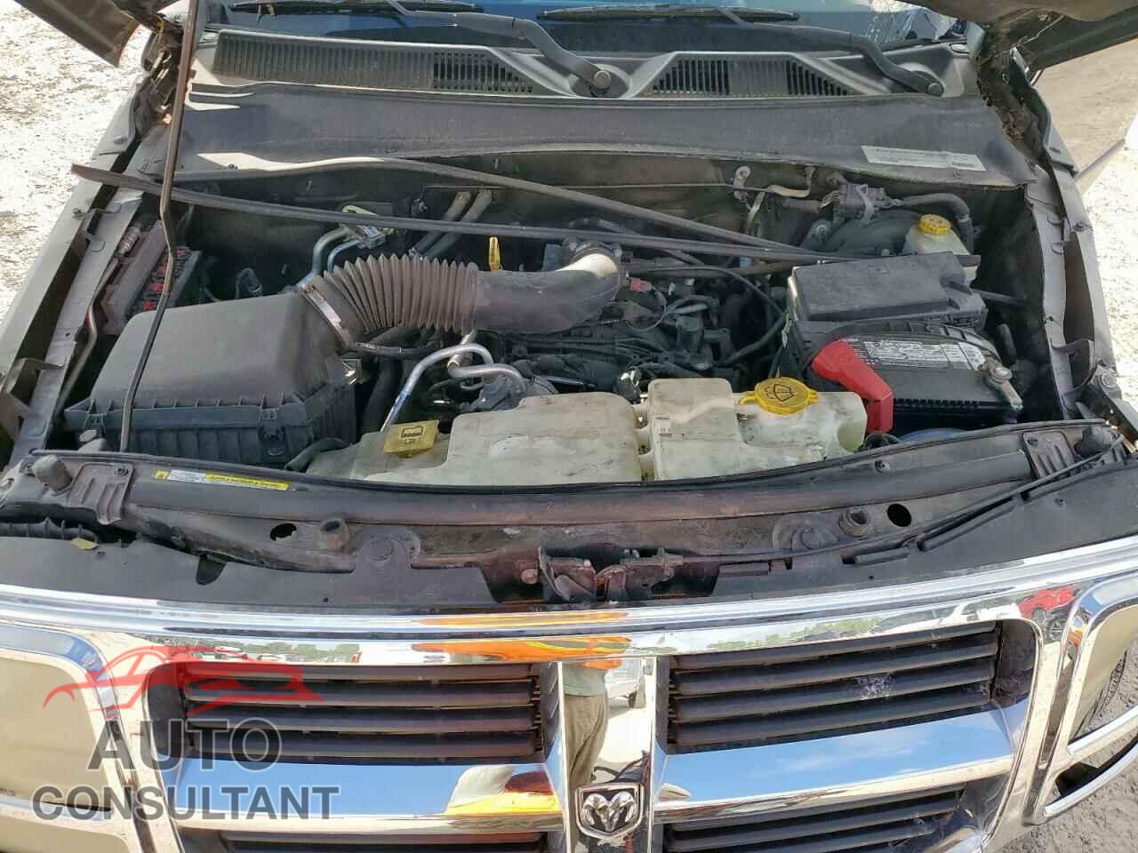 DODGE NITRO 2011 - 1D4PT4GK2BW572811