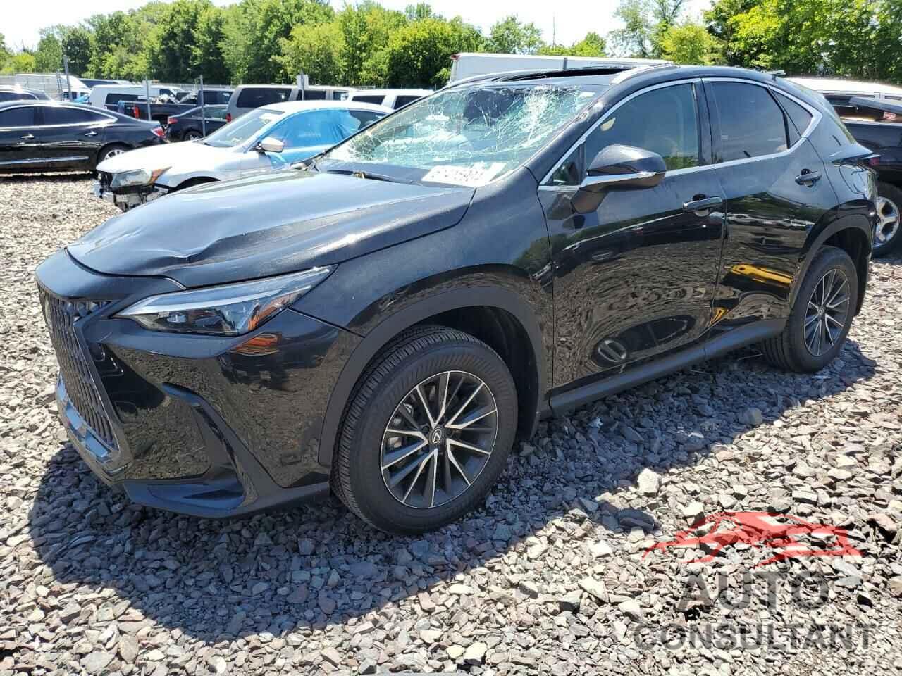 LEXUS NX 350 BAS 2024 - 2T2AGCEZ7RC040826