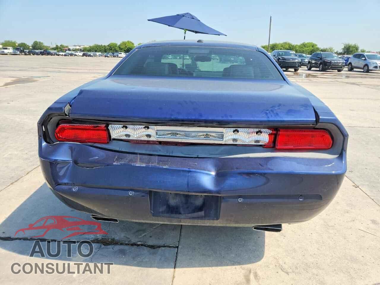 DODGE CHALLENGER 2014 - 2C3CDYAG2EH247717