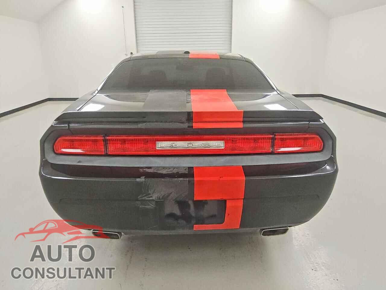 DODGE CHALLENGER 2013 - 2C3CDYBT0DH534242