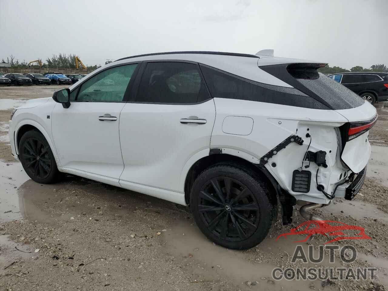 LEXUS RX 500H F 2024 - 2T2BCMEA2RC019916