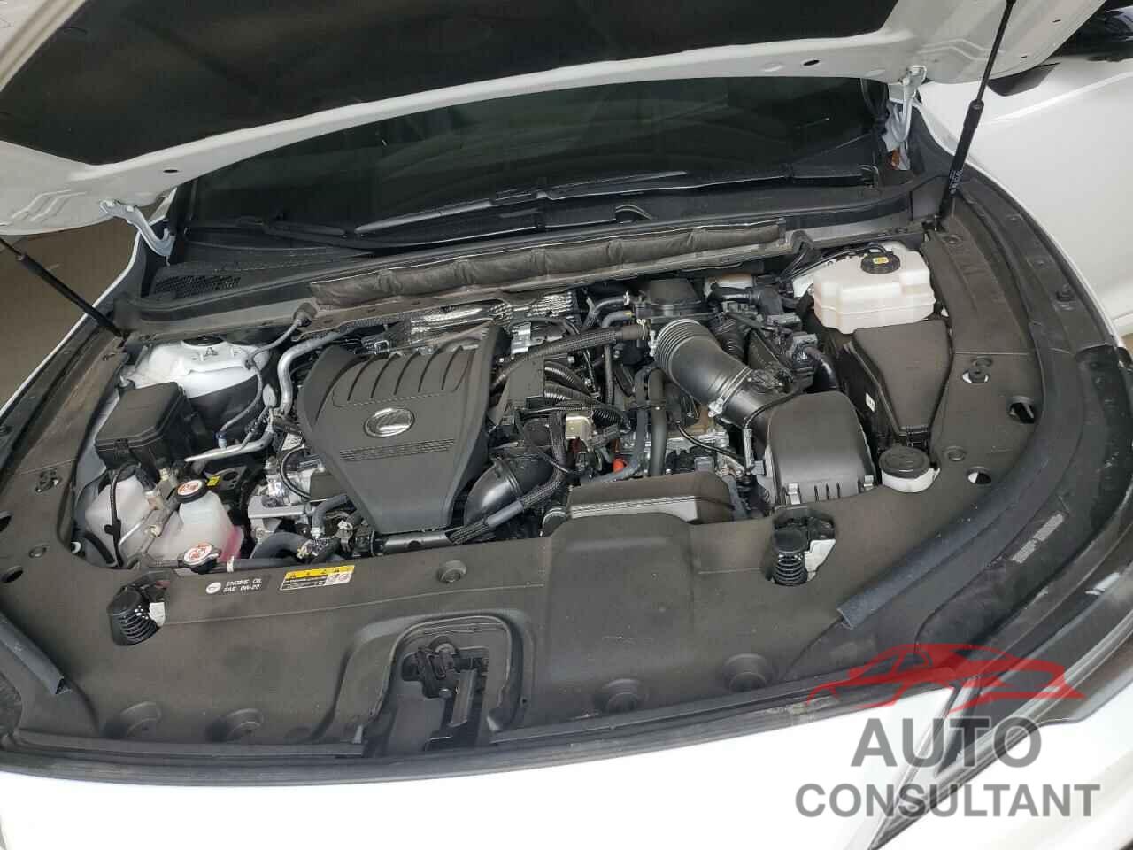 LEXUS RX 500H F 2024 - 2T2BCMEA0RC016318