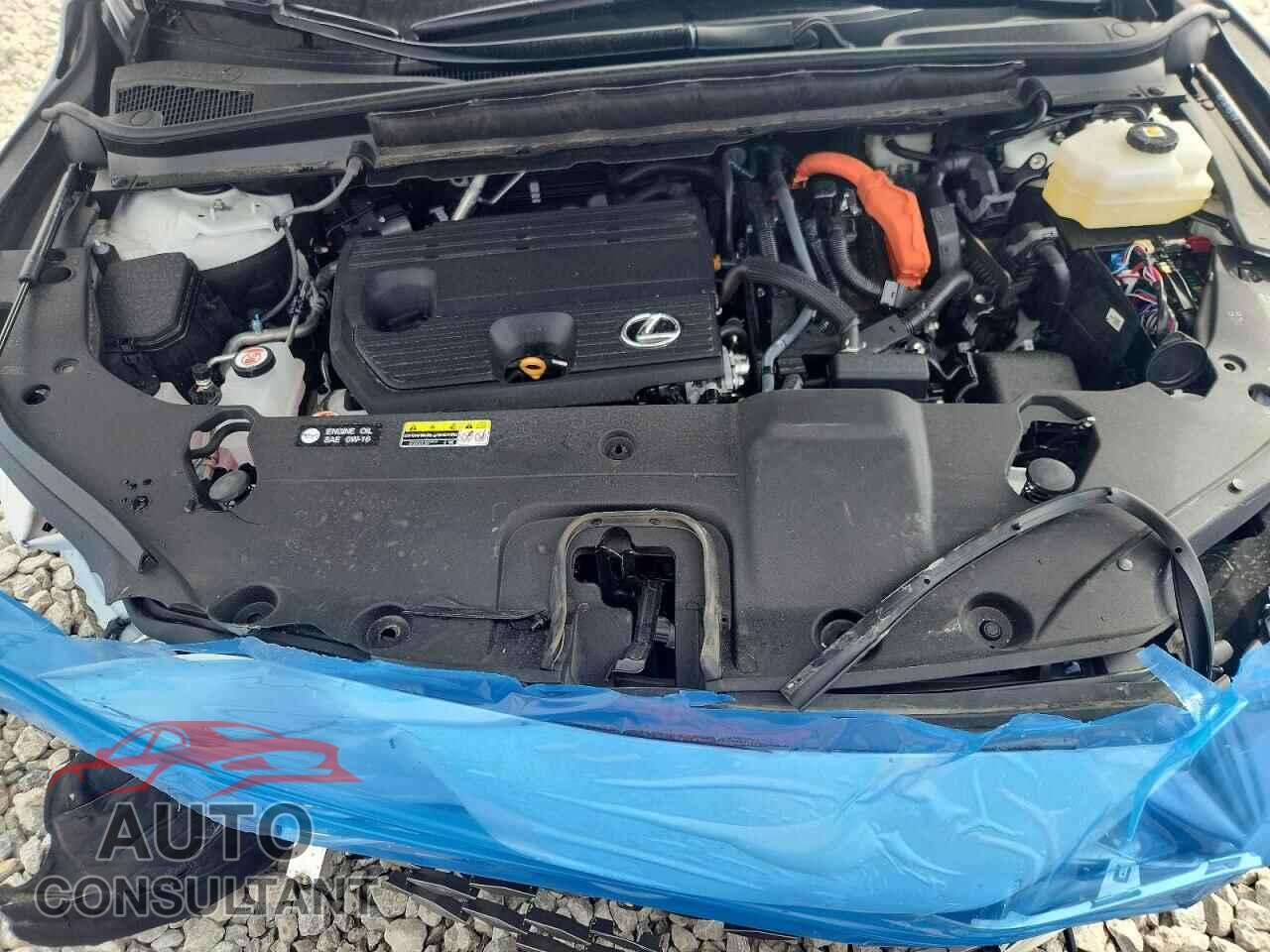 LEXUS UNKNOWN 2025 - 2T2BBMCA3SC087041