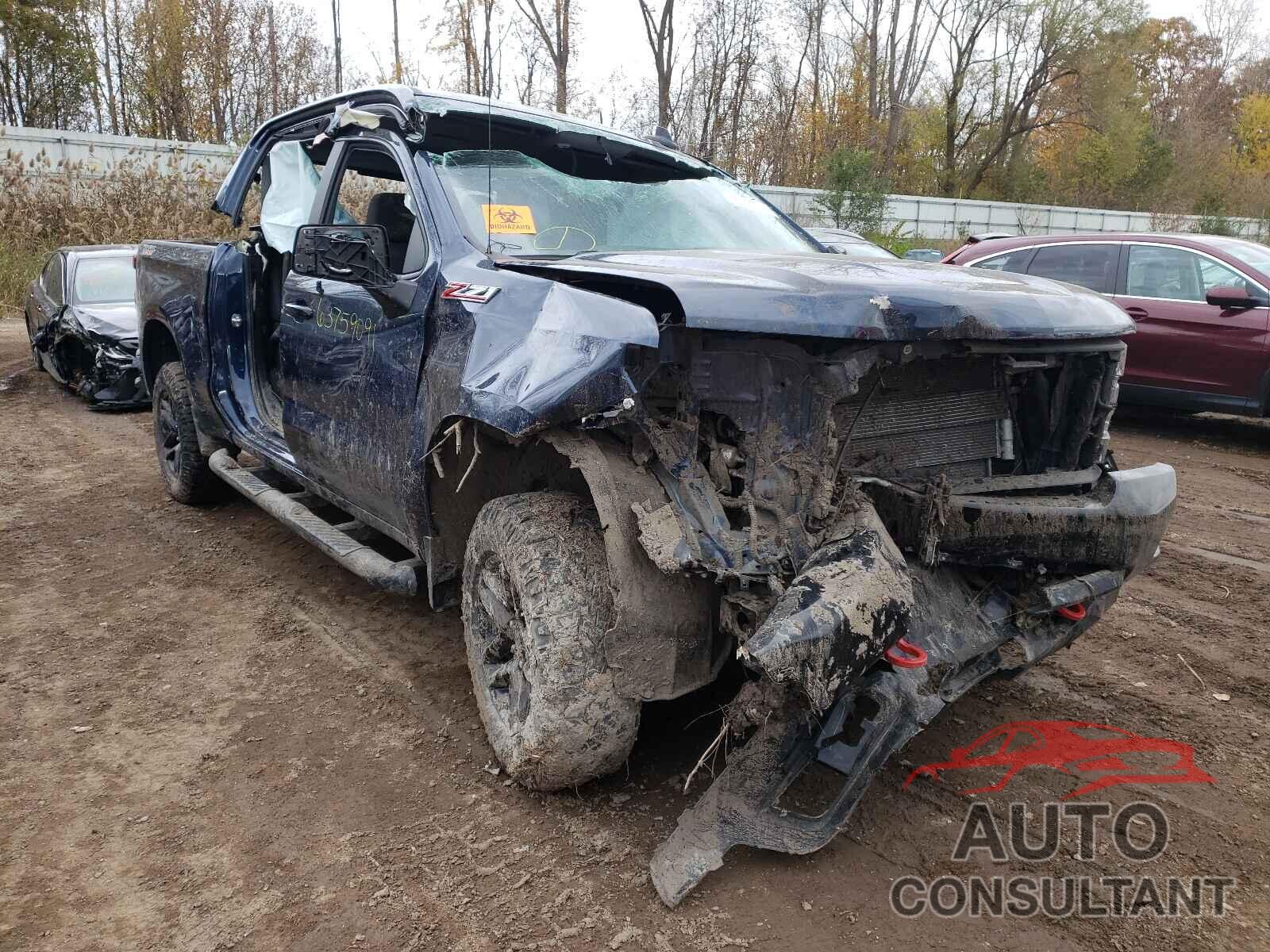 CHEVROLET SILVERADO 2019 - 3GCPYFED1KG213625