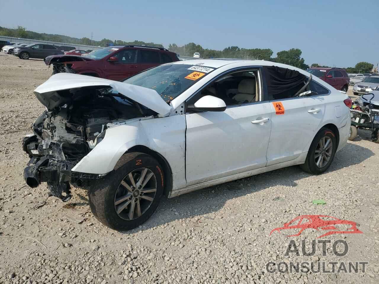 HYUNDAI SONATA 2016 - 5NPE24AF0GH353992