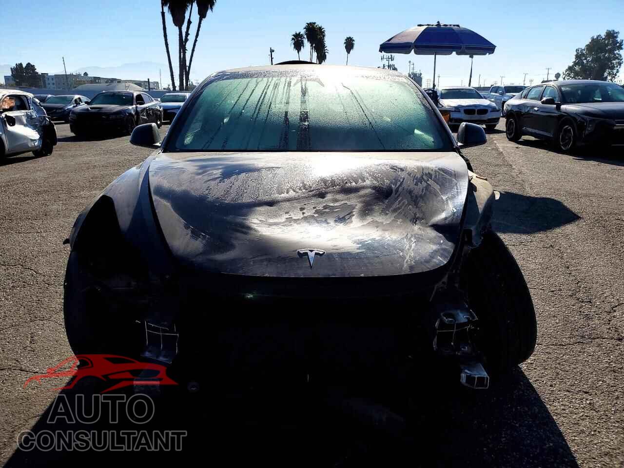 TESLA MODEL 3 2021 - 5YJ3E1EA2MF066045