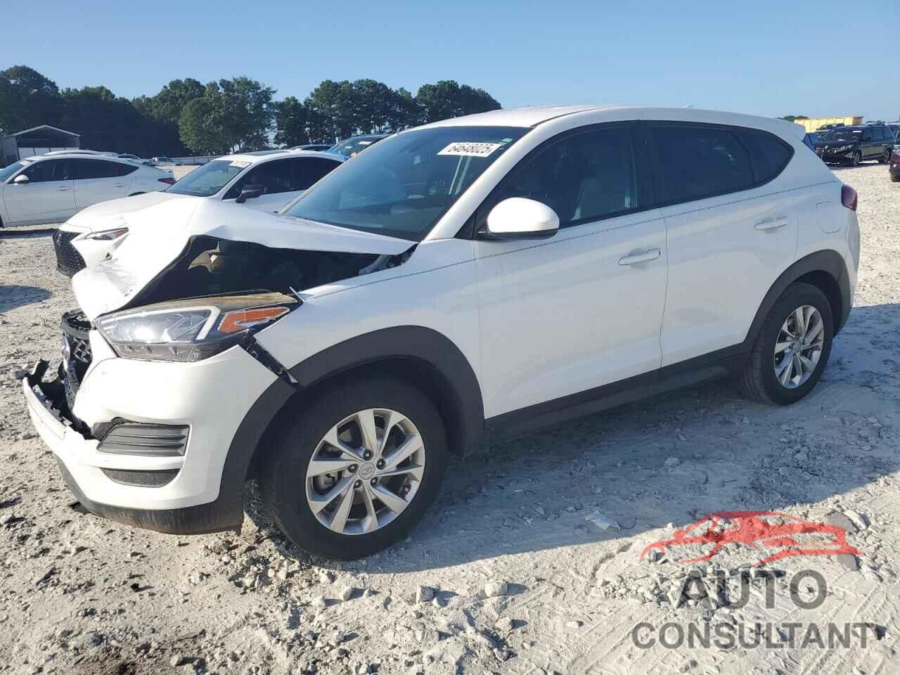 HYUNDAI TUCSON 2019 - KM8J23A44KU019336