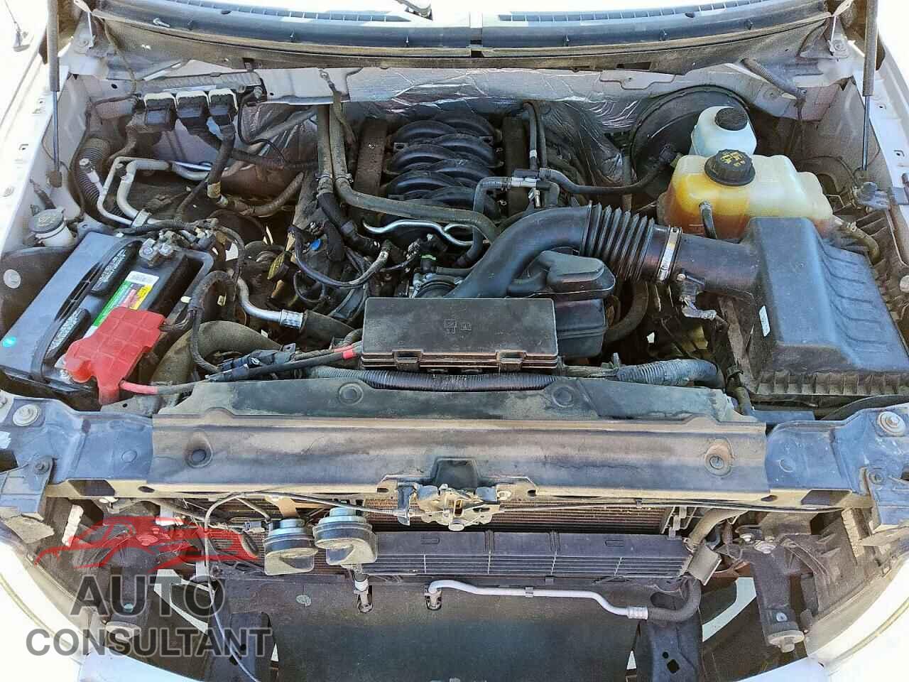 FORD F-150 2013 - 1FTFX1CF3DFD68025