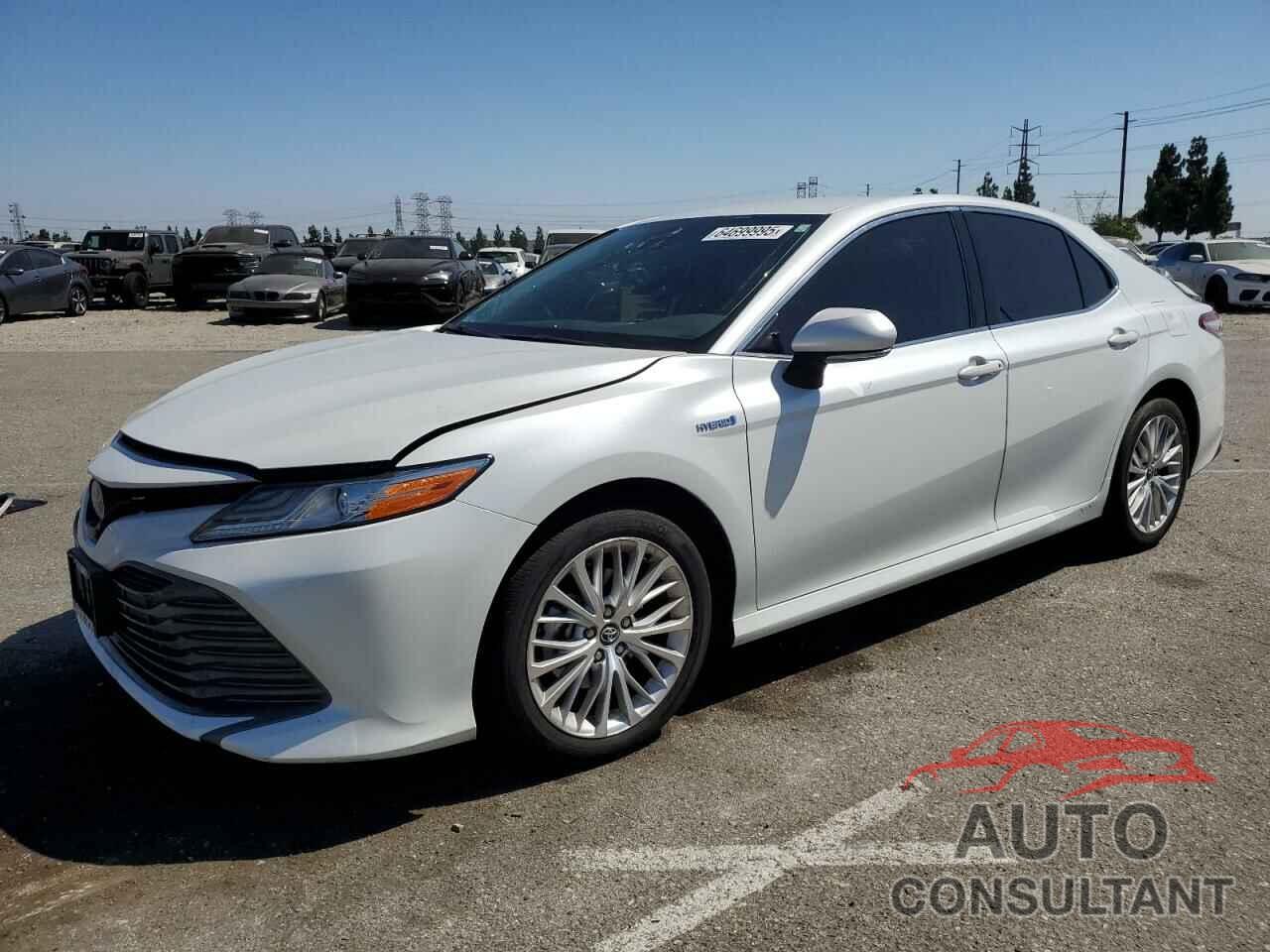 TOYOTA CAMRY 2020 - 4T1F31AK4LU525644
