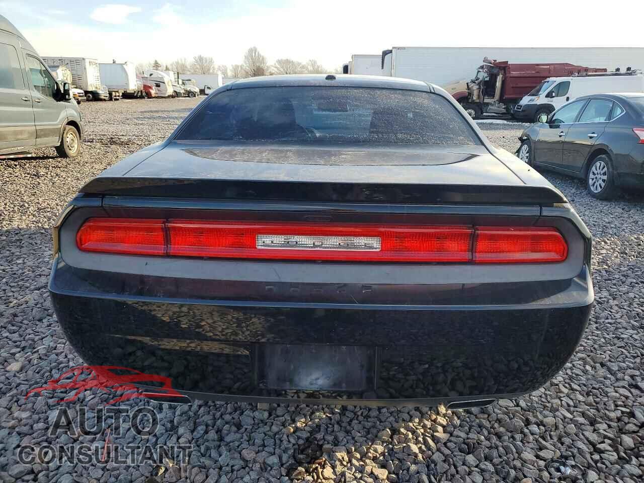 DODGE CHALLENGER 2013 - 2C3CDYAG3DH679702