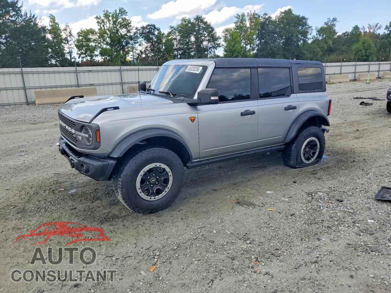 FORD BRONCO 2023 - 1FMEE5DH2PLB16244