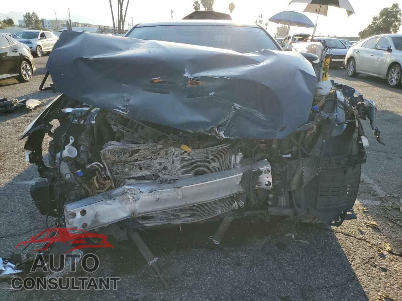 NISSAN MAXIMA 2017 - 1N4AA6AP1HC374262