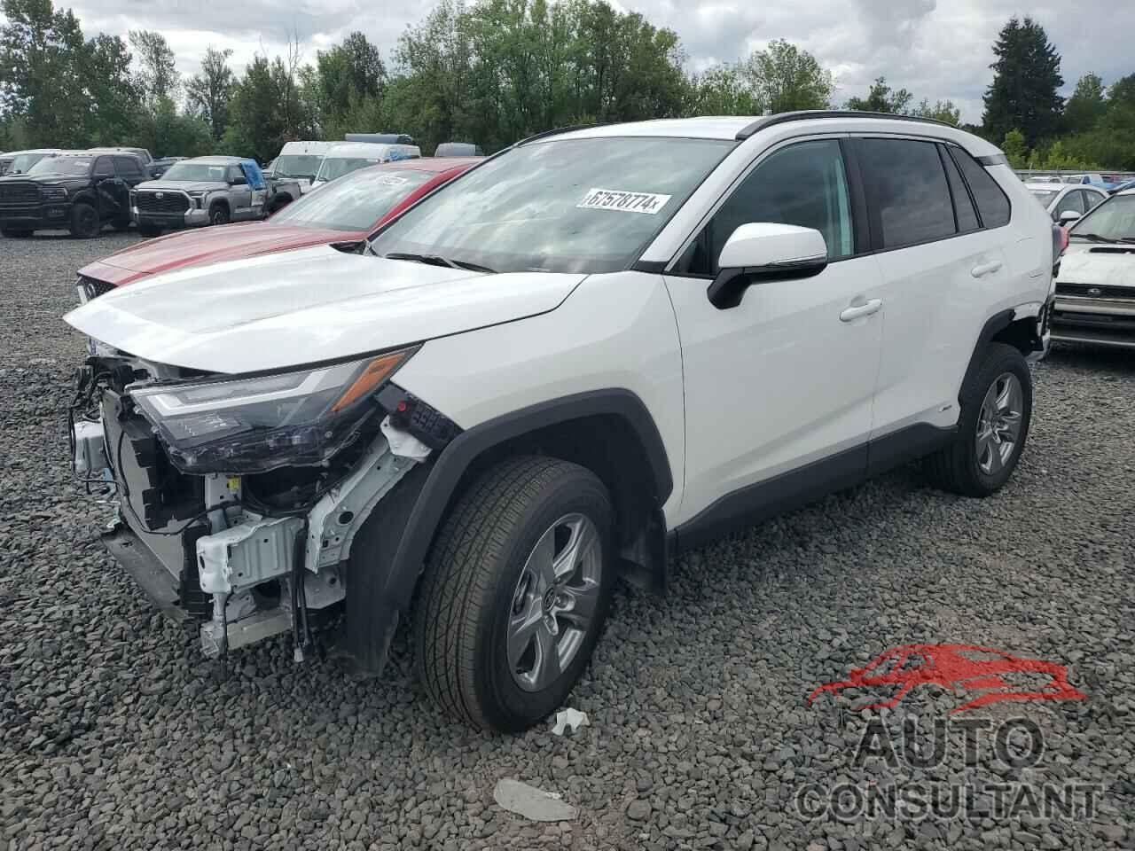 TOYOTA RAV4 2024 - 2T3RWRFV6RW210494