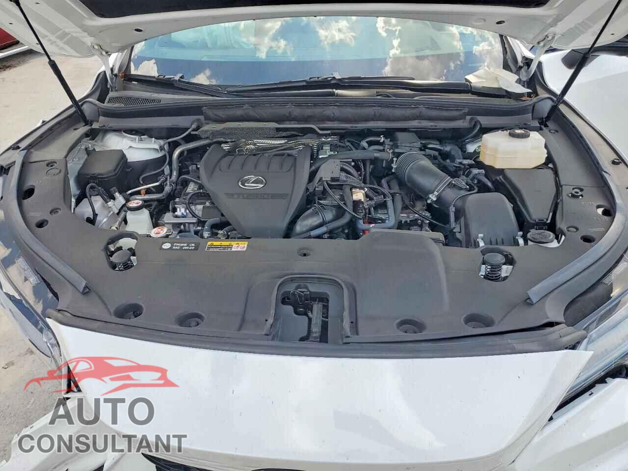 LEXUS RX450 2023 - 2T2BCMEAXPC003413