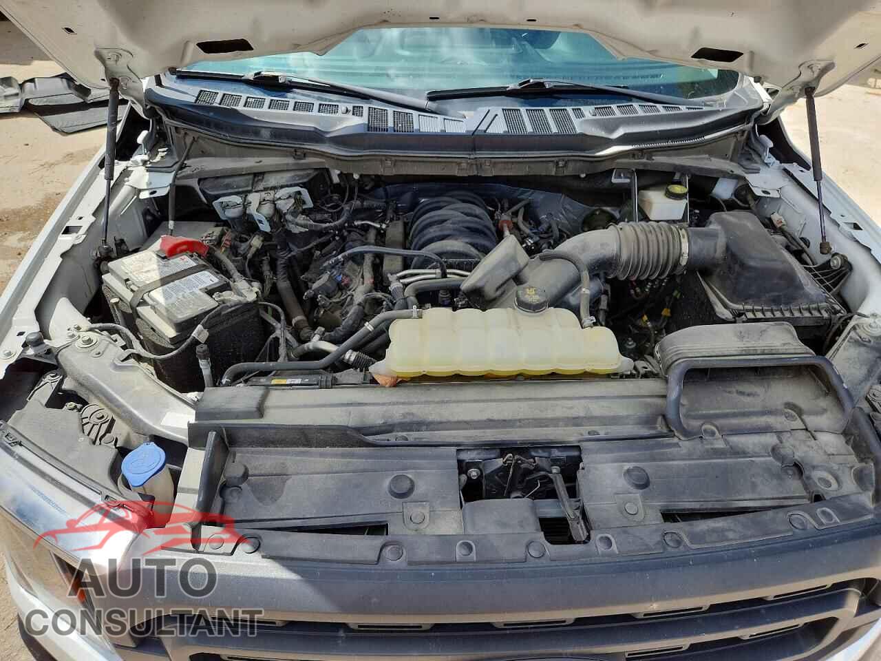 FORD F150 2023 - 1FTFW1E54PKG00361