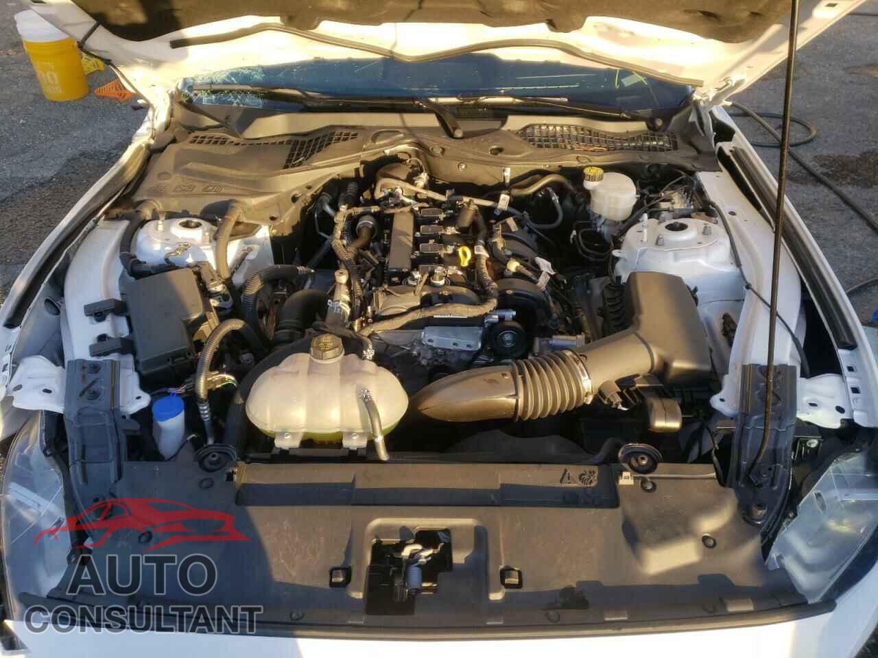 FORD MUSTANG 2021 - 1FA6P8TH3M5129788