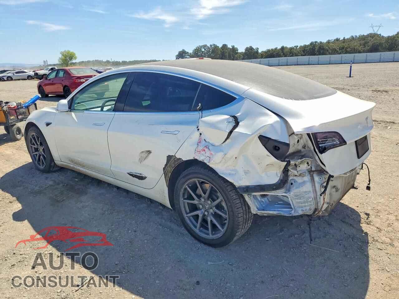 TESLA MODEL 3 2020 - 5YJ3E1EA2LF717950