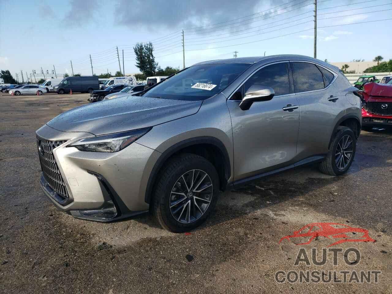 LEXUS NX 250 BAS 2024 - 2T2ADCAZ6RC007136