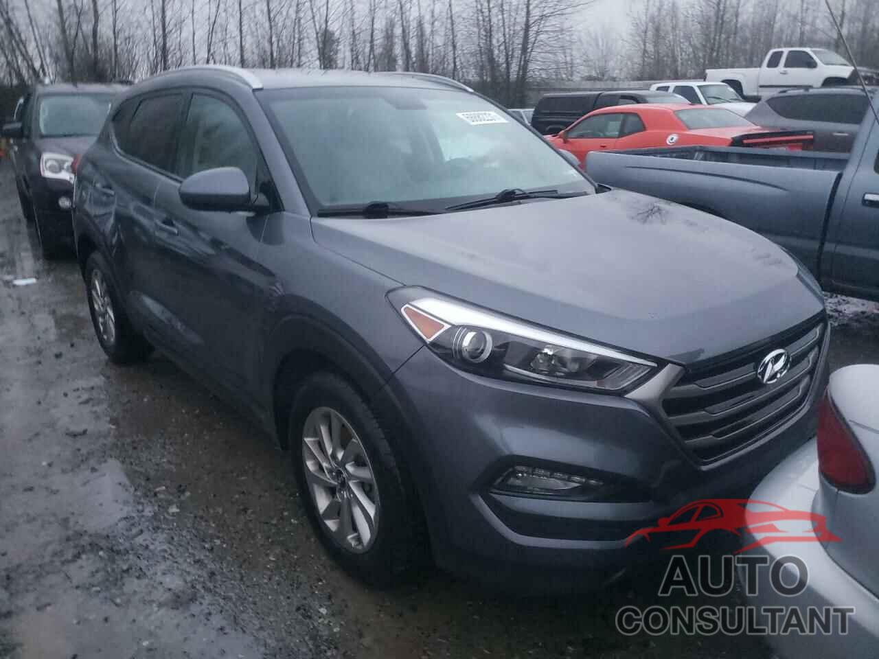 HYUNDAI TUCSON 2016 - KM8J3CA48GU100859