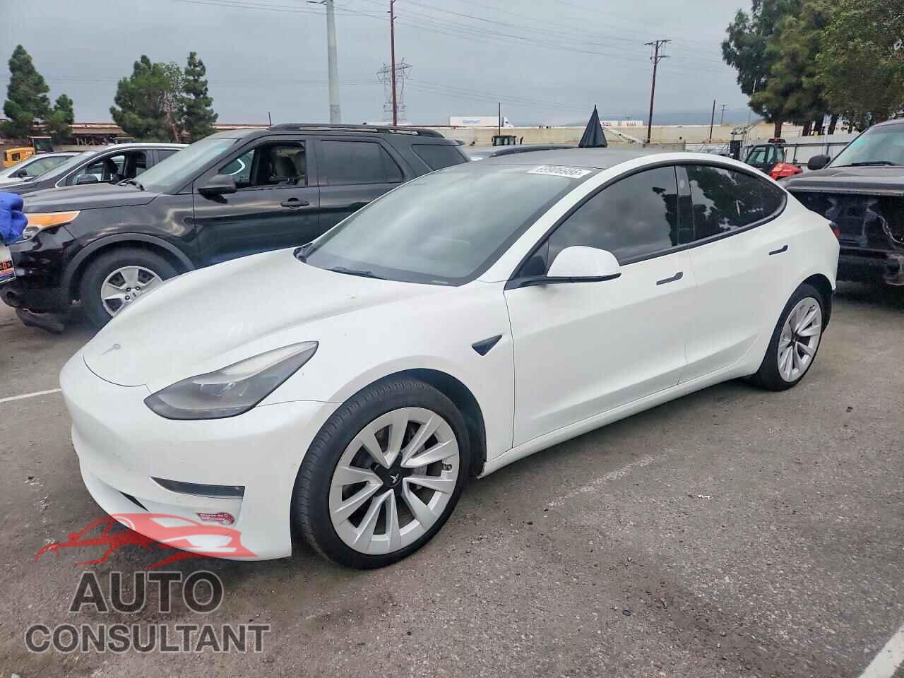 TESLA MODEL 3 2022 - 5YJ3E1EB8NF226892
