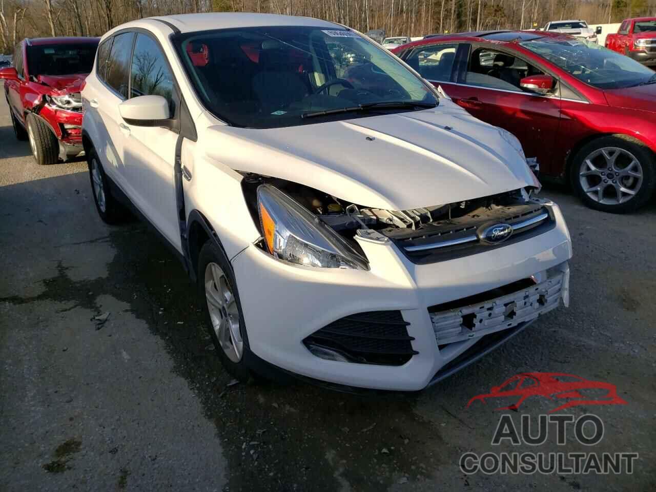 FORD ESCAPE 2016 - 1FMCU0GX8GUB52837