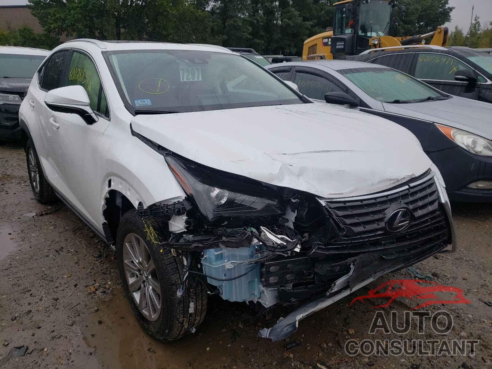 LEXUS NX 2020 - JTJDJRDZXL5002516