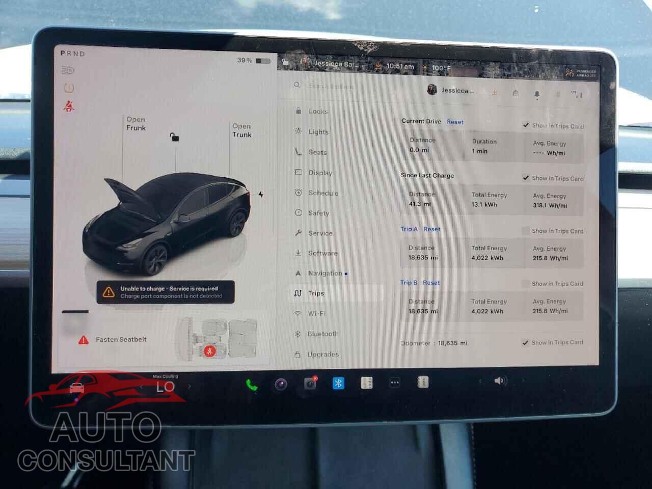 TESLA MODEL Y 2024 - 7SAYGDED9RF197995