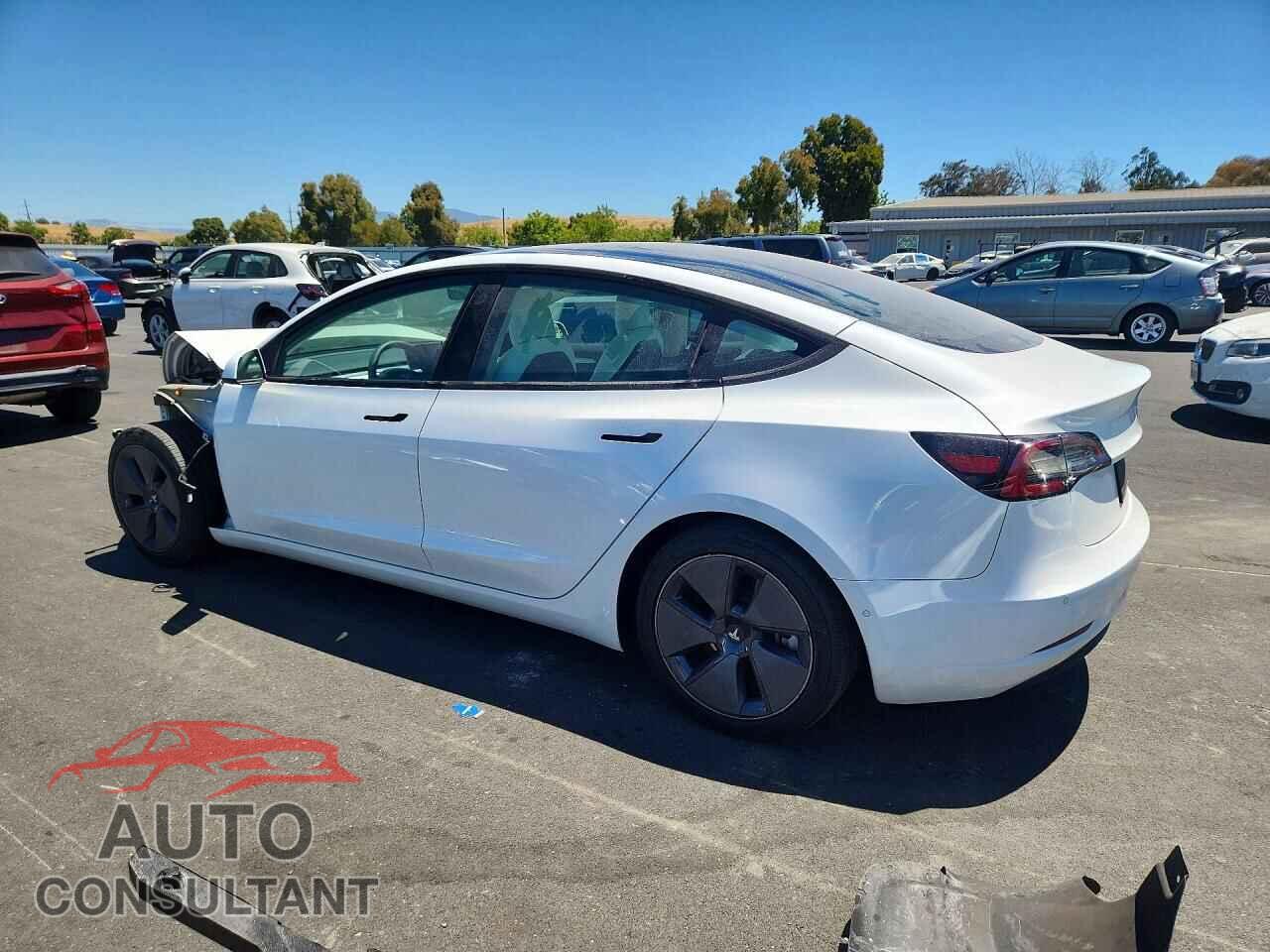 TESLA MODEL 3 2021 - 5YJ3E1EA2MF019016