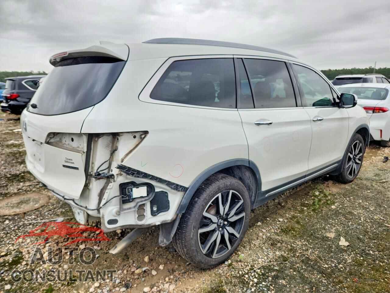 HONDA PILOT 2019 - 5FNYF5H61KB019877