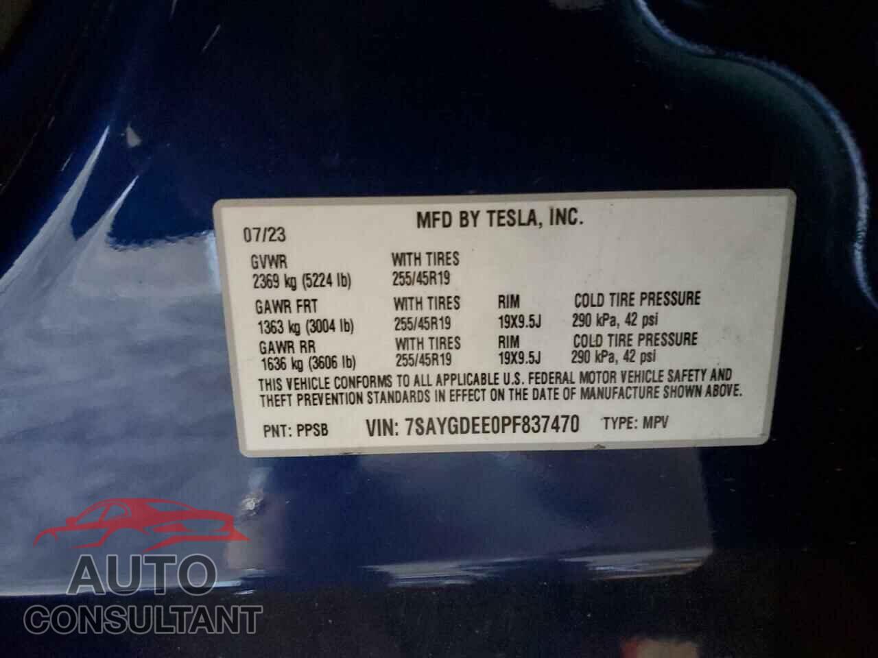 TESLA MODEL Y 2023 - 7SAYGDEE0PF837470