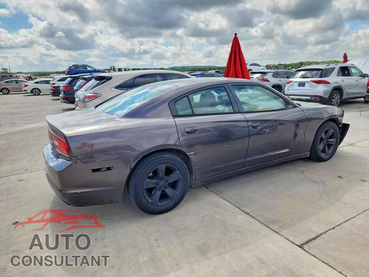 DODGE CHARGER 2014 - 2C3CDXBG2EH299941