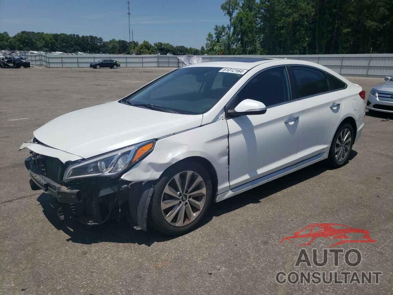 HYUNDAI SONATA 2016 - 5NPE34AFXGH429893