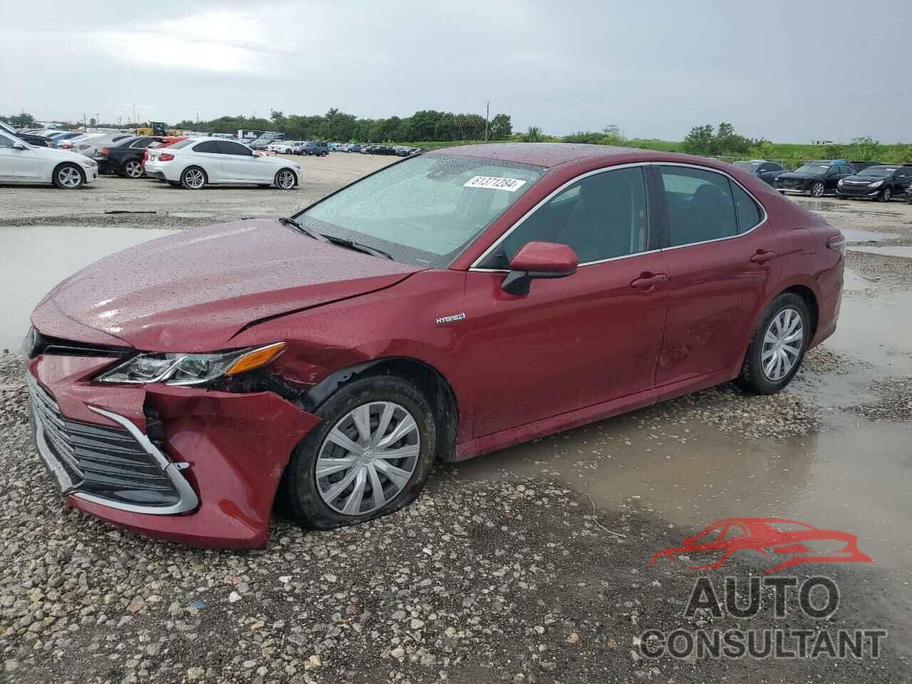 TOYOTA CAMRY 2021 - 4T1C31AK1MU029981