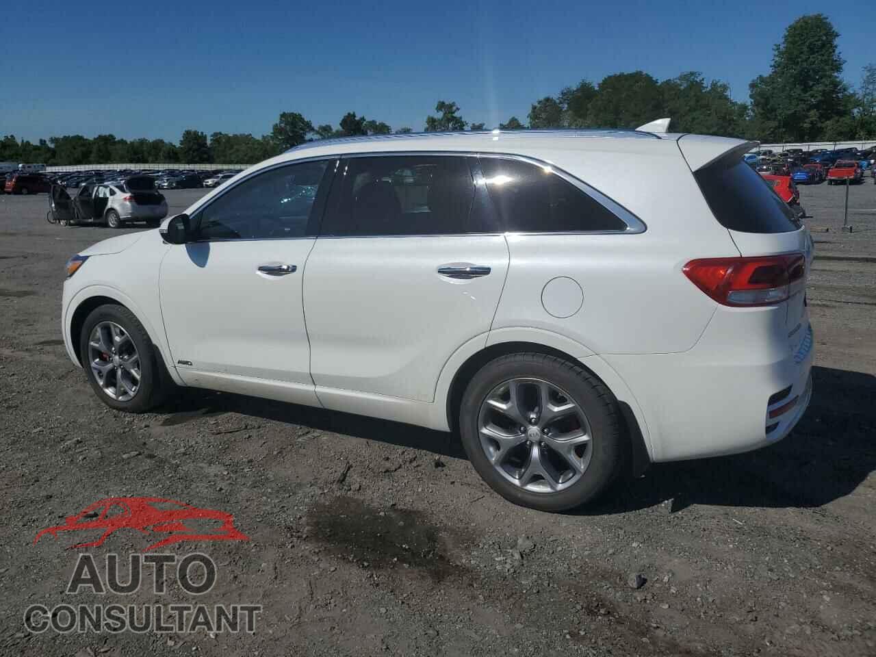 KIA SORENTO 2016 - 5XYPKDA59GG164345