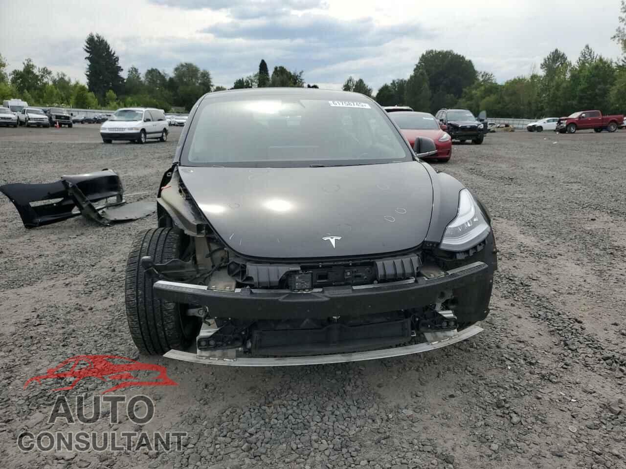 TESLA MODEL 3 2019 - 5YJ3E1EA1KF397440