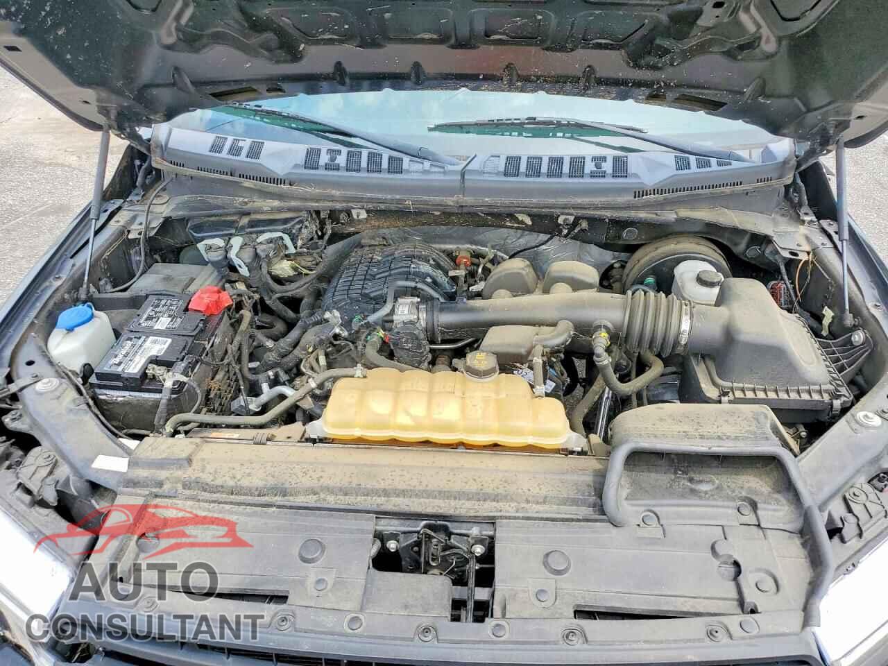 FORD F150 2019 - 1FTEX1CB7KKD35526