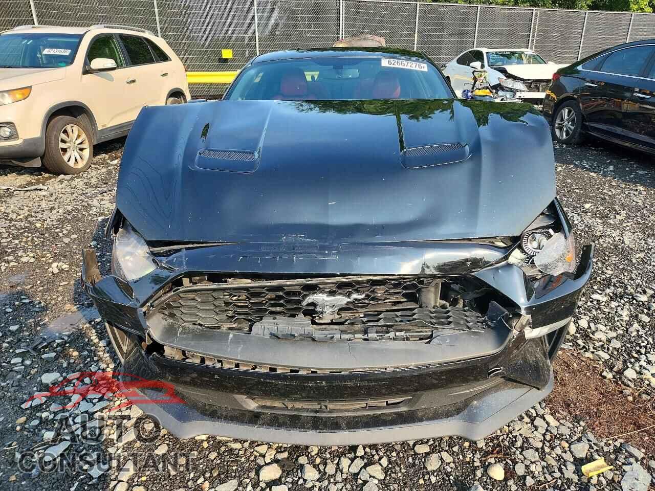 FORD MUSTANG 2019 - 1FA6P8TH2K5138043