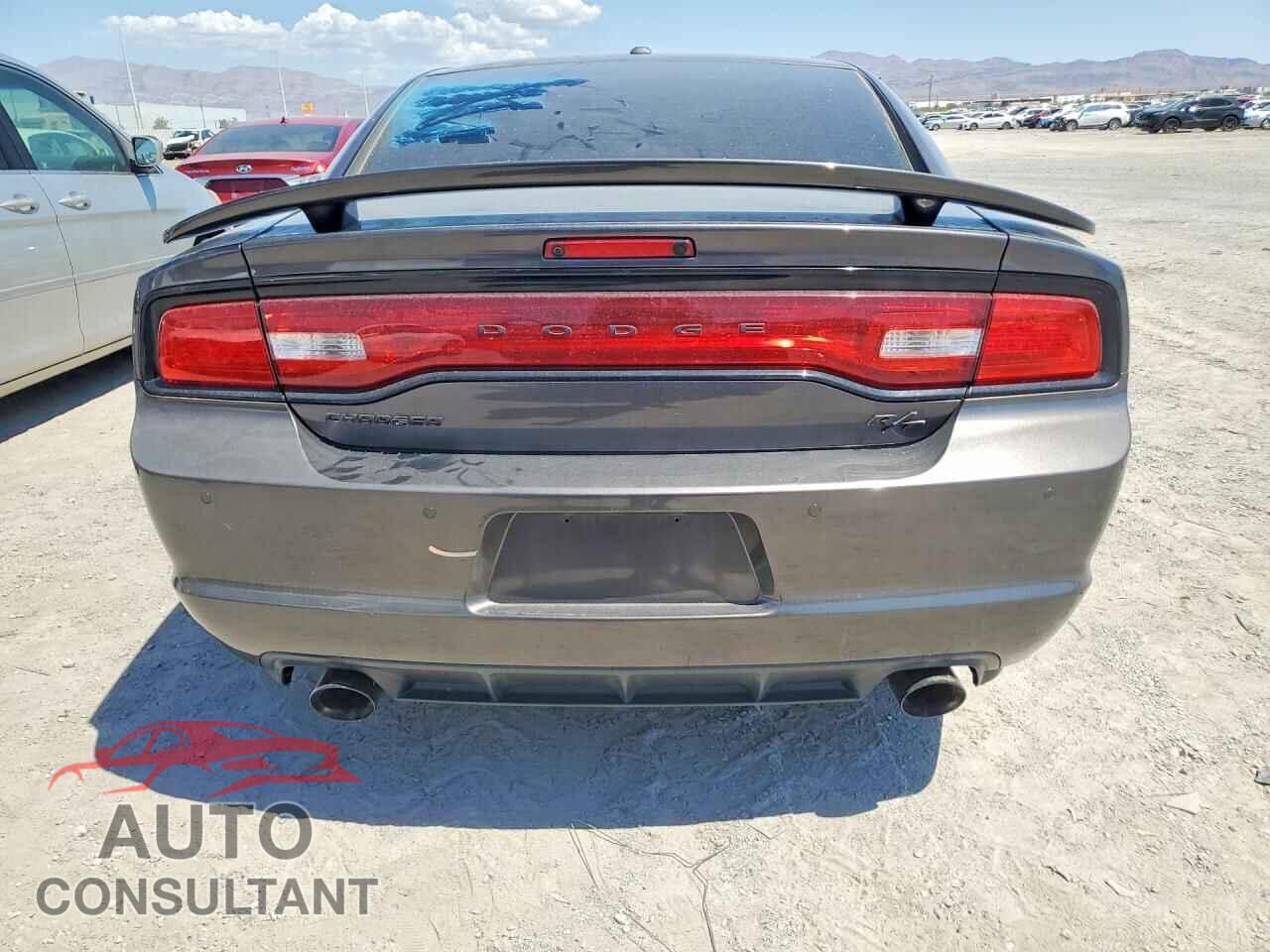 DODGE CHARGER 2014 - 2C3CDXCTXEH159308