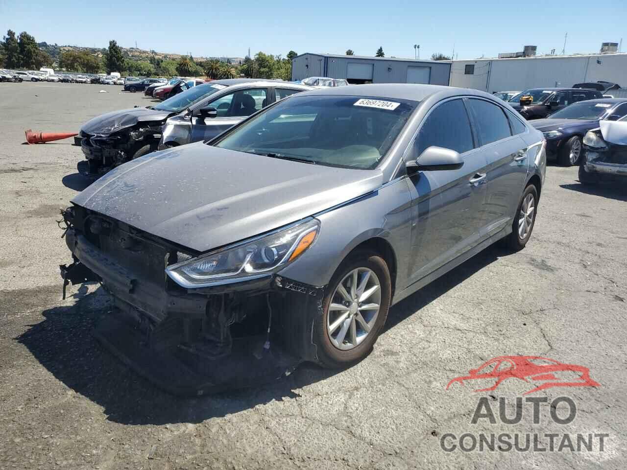 HYUNDAI SONATA 2019 - 5NPE24AF4KH749268