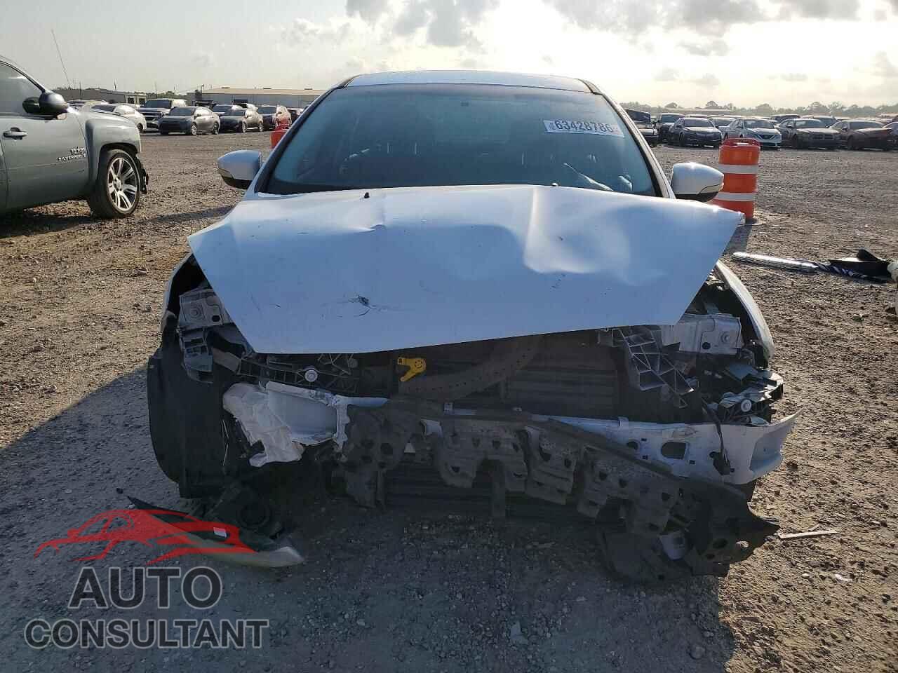 FORD FOCUS 2016 - 1FADP3F29GL257938