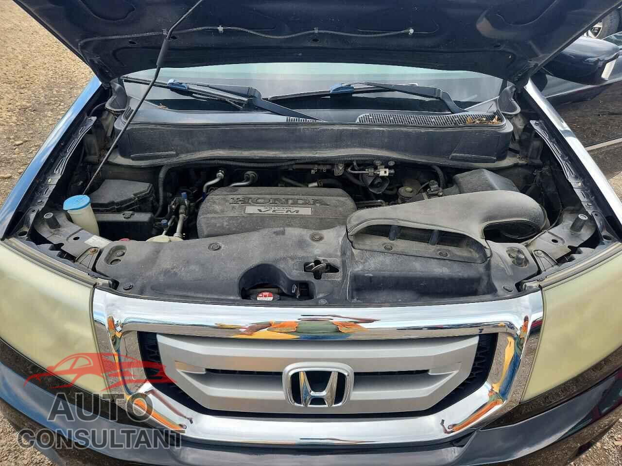 HONDA PILOT 2009 - 5FNYF48829B053123