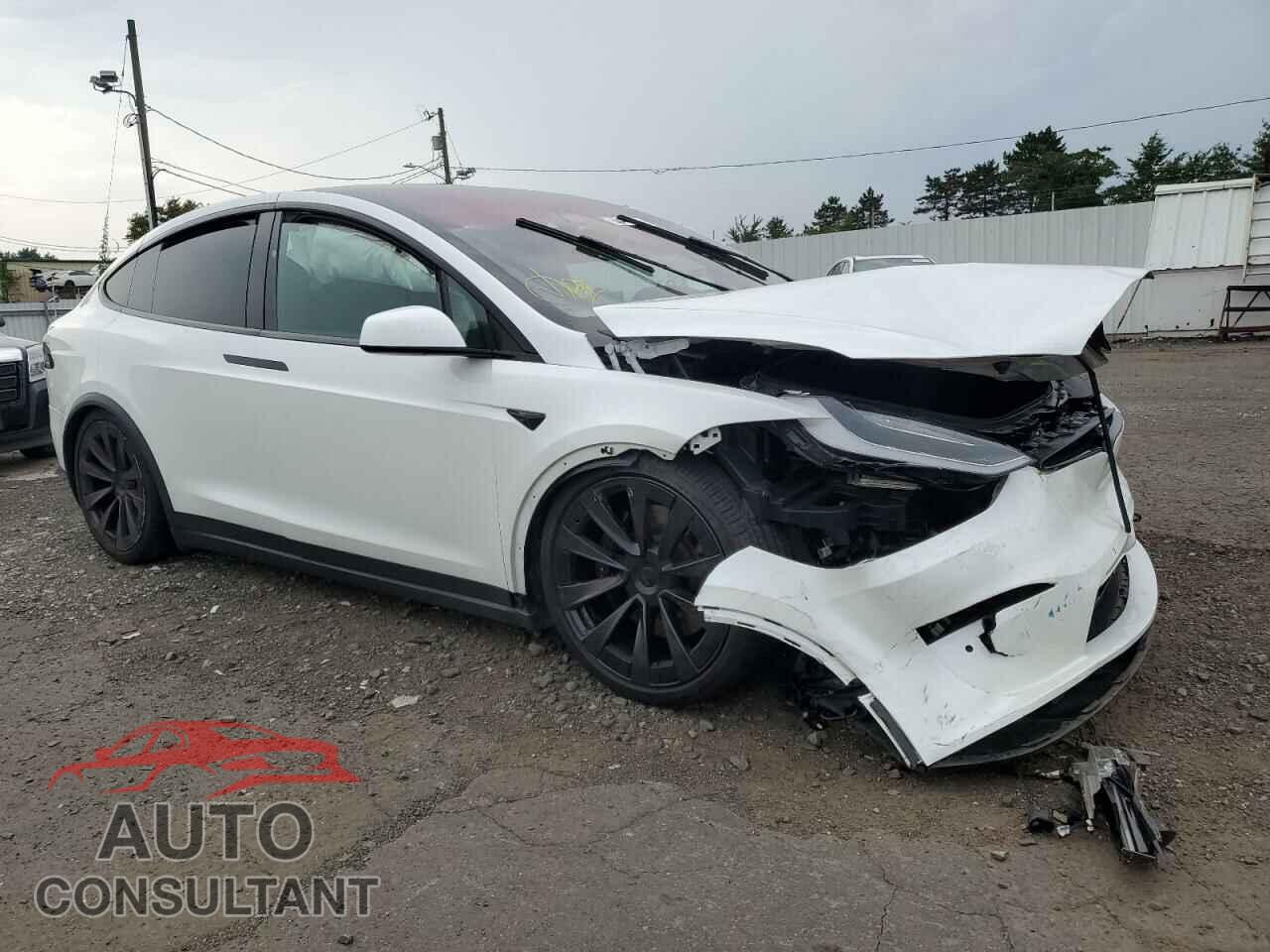 TESLA MODEL X 2023 - 7SAXCDE54PF367208