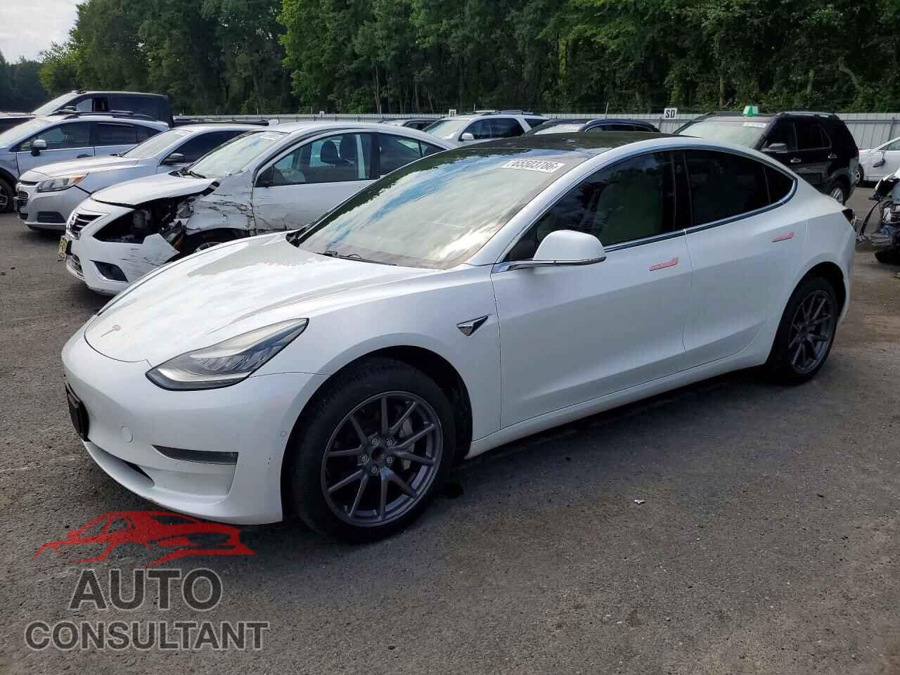 TESLA MODEL 3 2019 - 5YJ3E1EA6KF302080