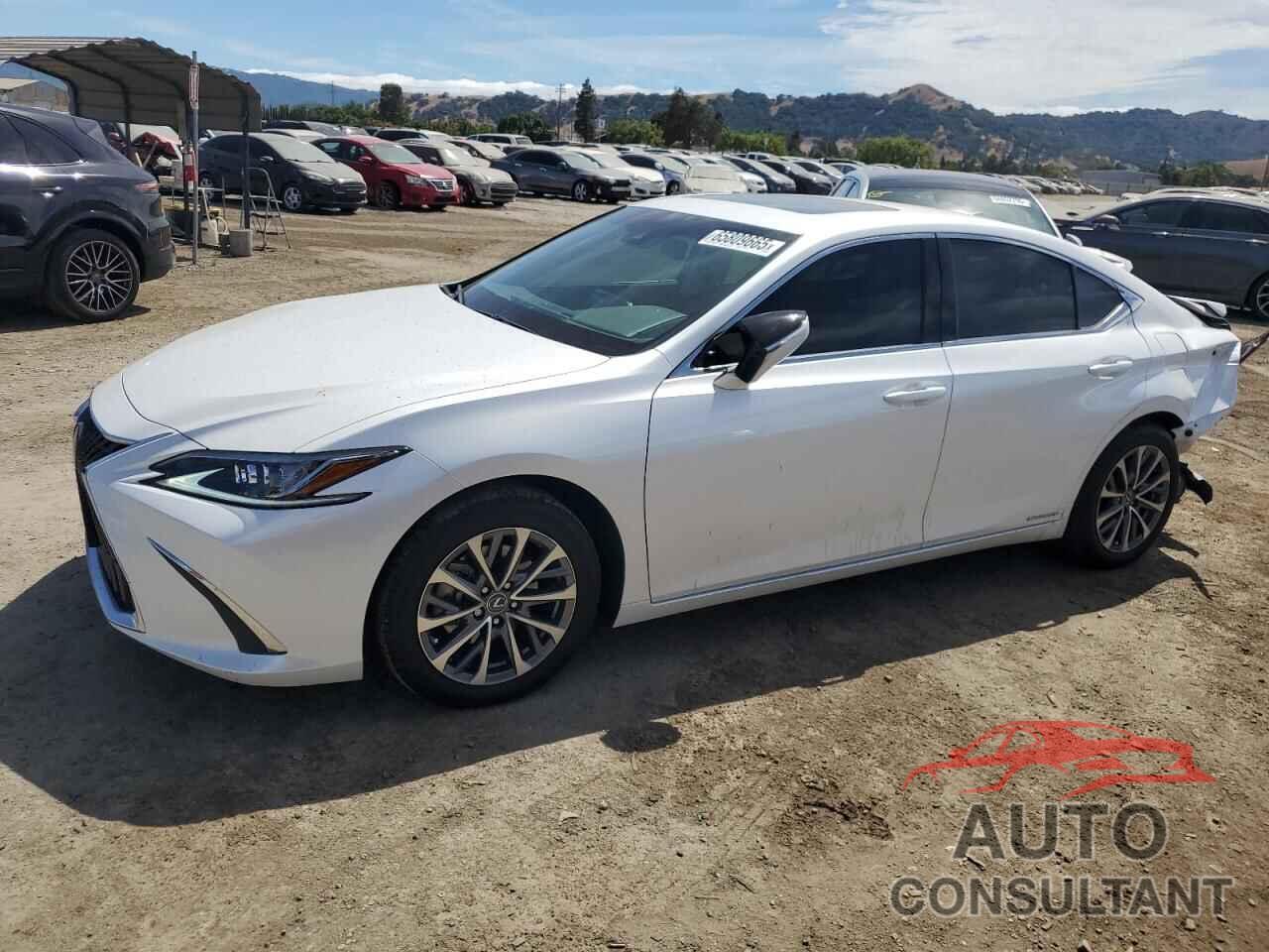LEXUS ES300 2022 - 58ACA1C11NU013512
