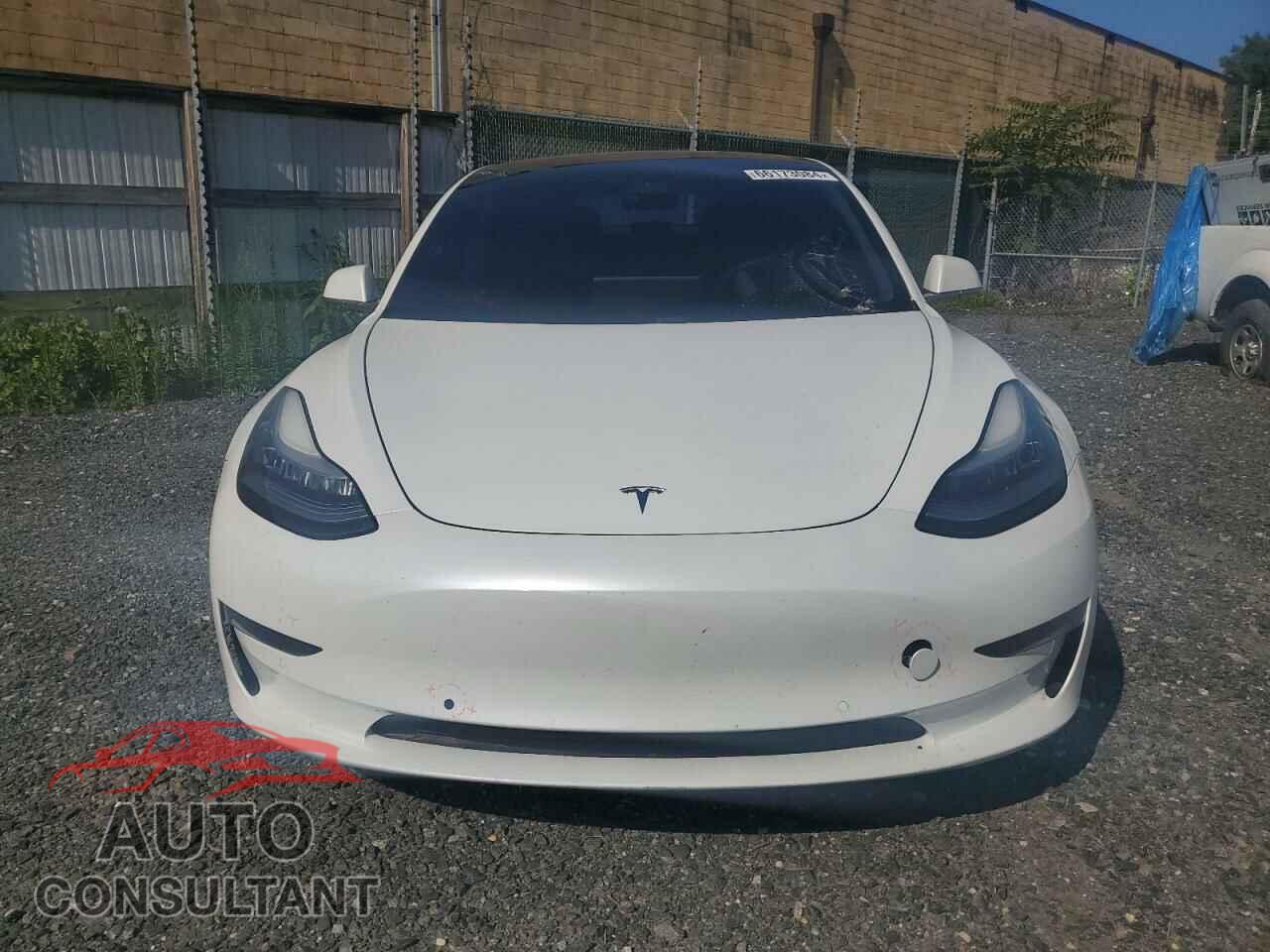 TESLA MODEL 3 2019 - 5YJ3E1EB0KF437726