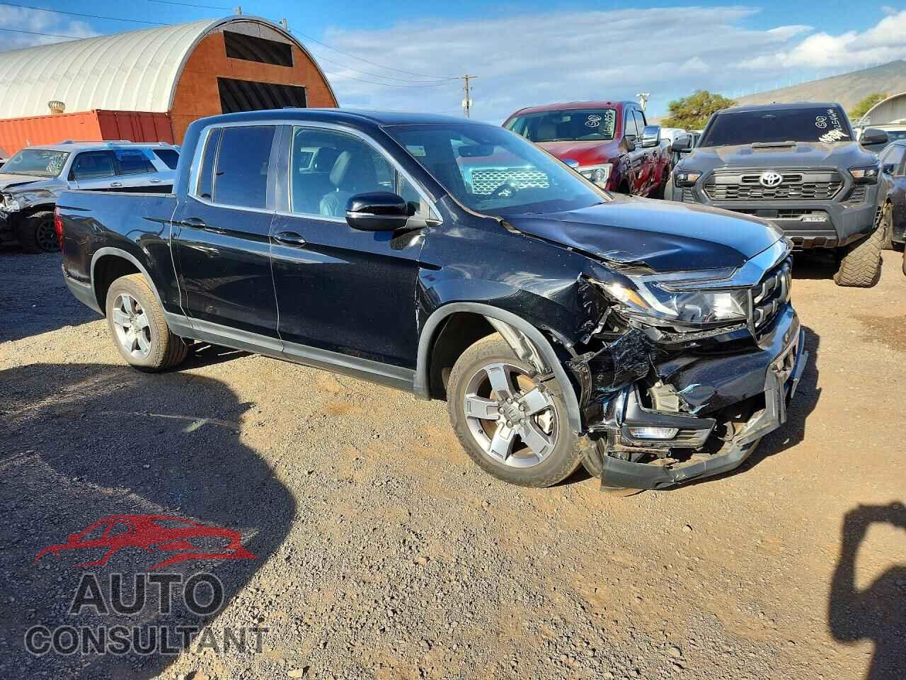 HONDA RIDGELINE 2024 - 5FPYK3F58RB007639