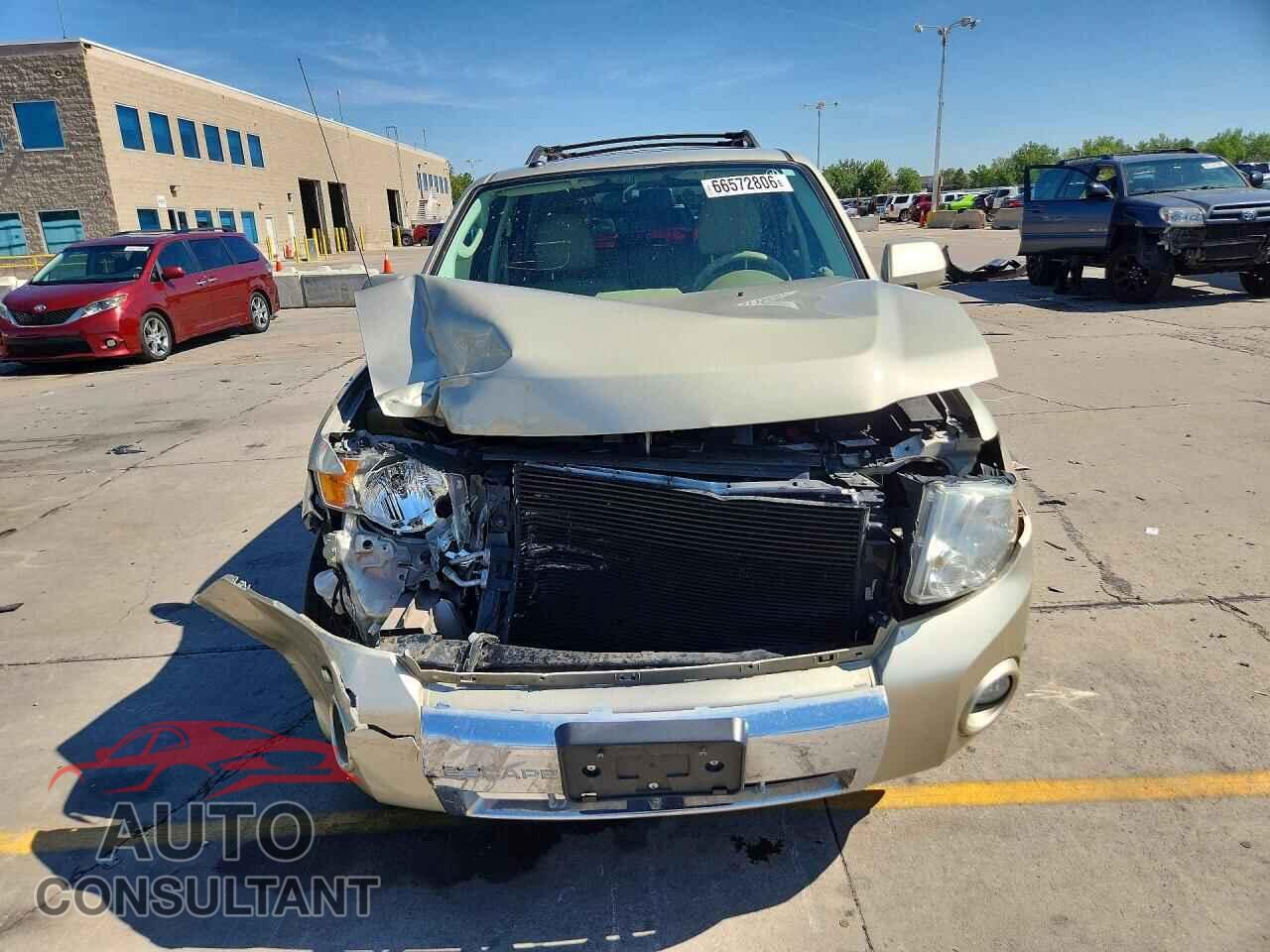 FORD ESCAPE 2010 - 1FMCU9EG6AKA71183