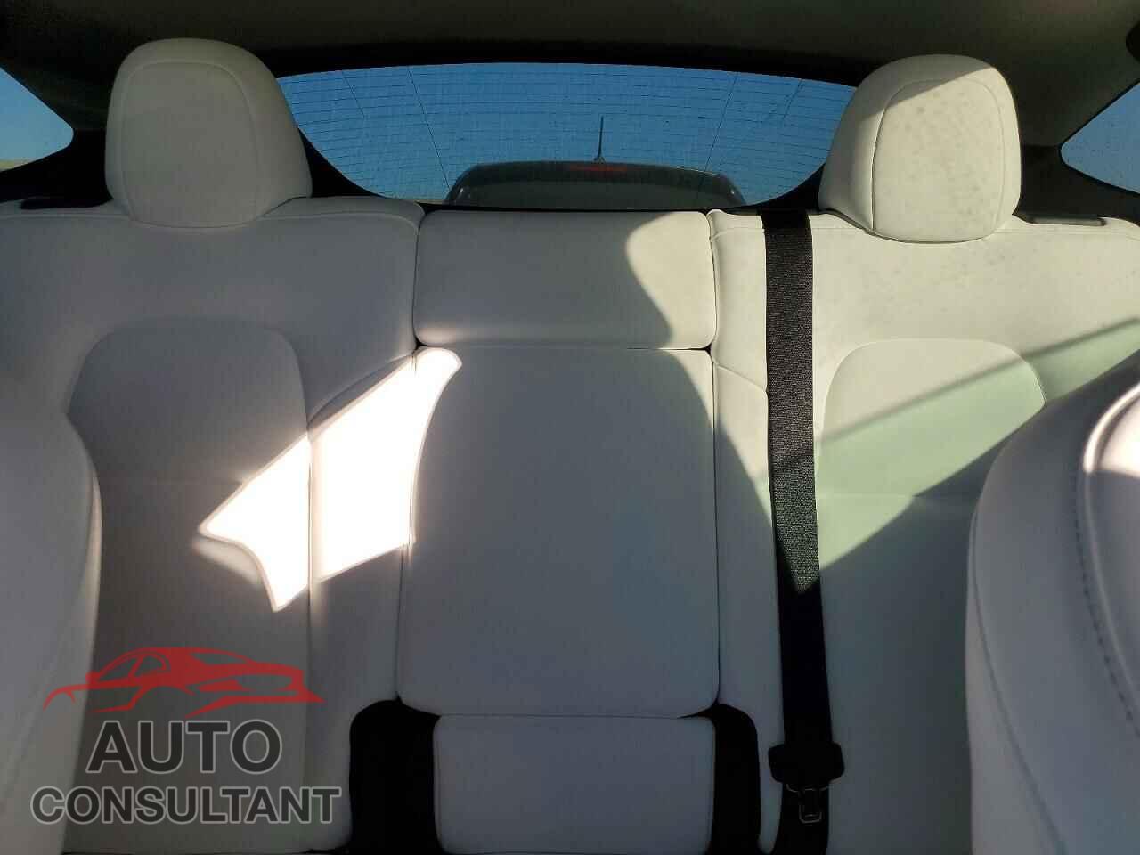 TESLA MODEL Y 2024 - 7SAYGDED0RF033308
