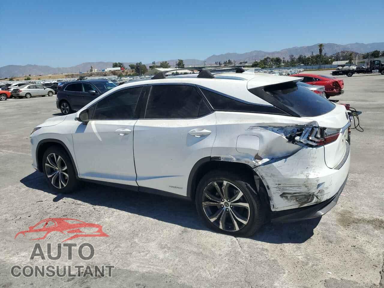 LEXUS RX450 2019 - 2T2BGMCA3KC041632